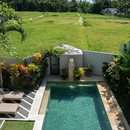Ananditha Villa Ubud Ricefield Views Exterior photo