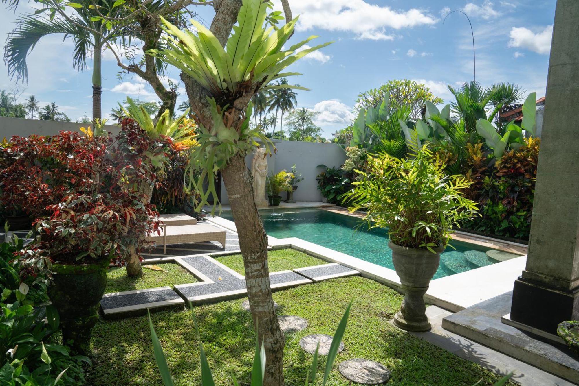 Ananditha Ricefield Views Ubud (Bali)
