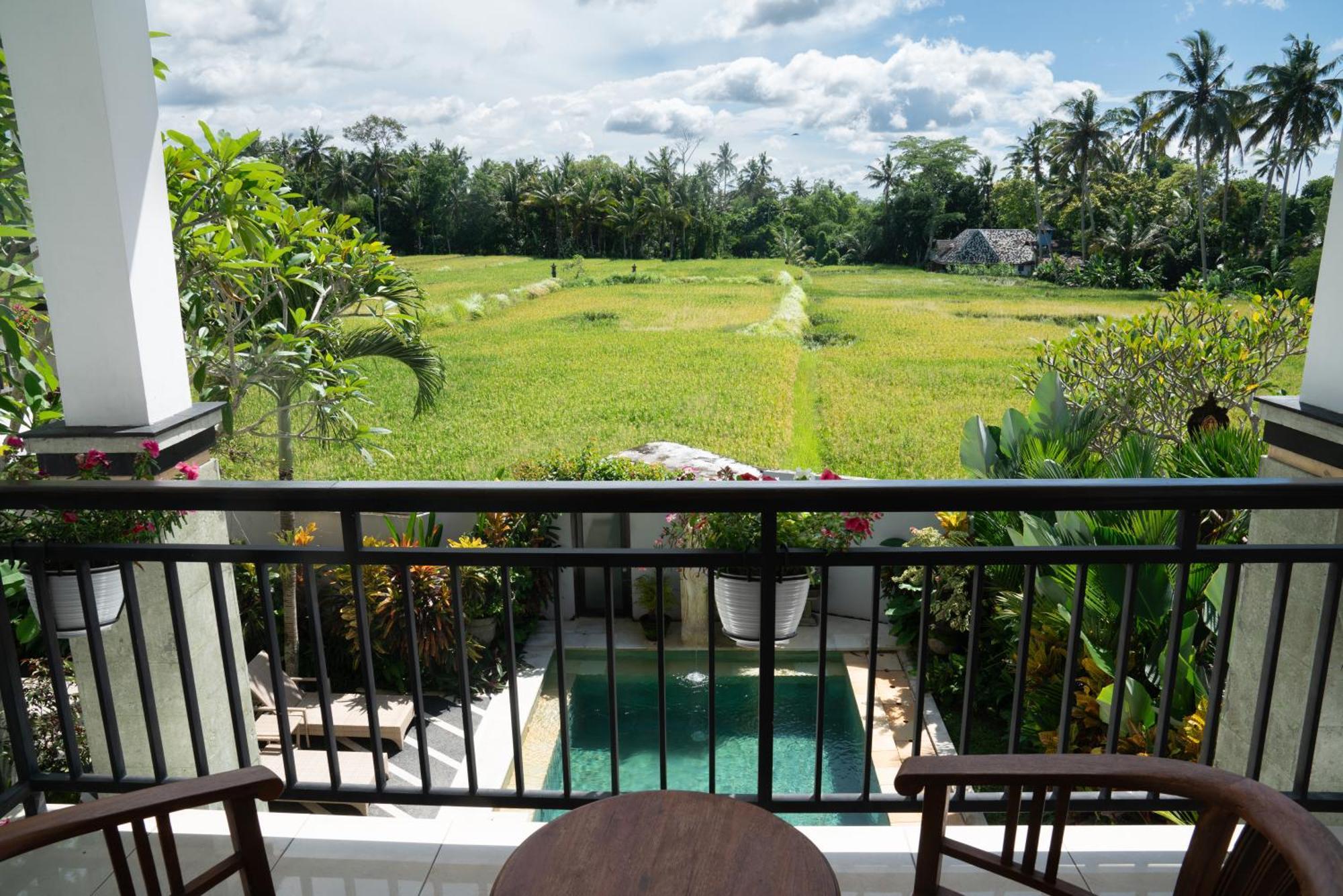Ananditha Ricefield Views