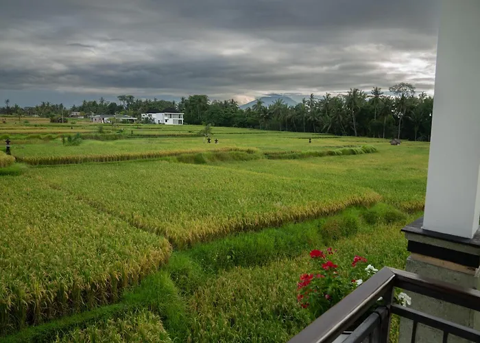Ananditha Villa Ubud Ricefield Views