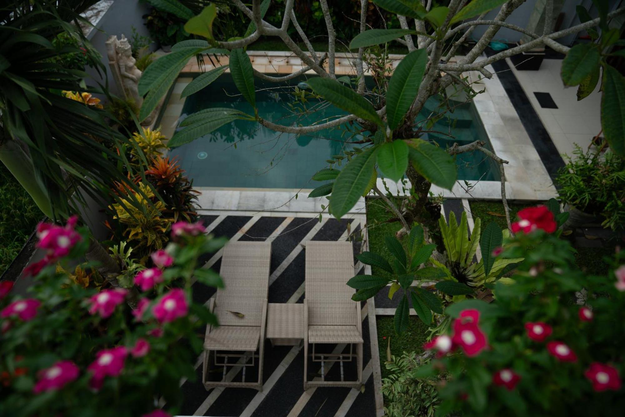 Ananditha Ricefield Views Villa Ubud